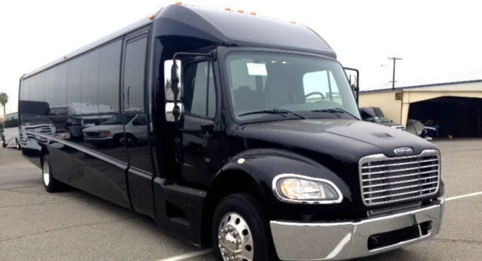 20 Person Party Bus Rental