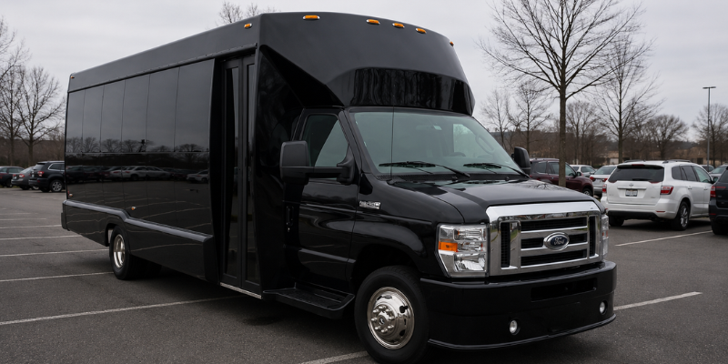 20 Passenger Party Bus Rental