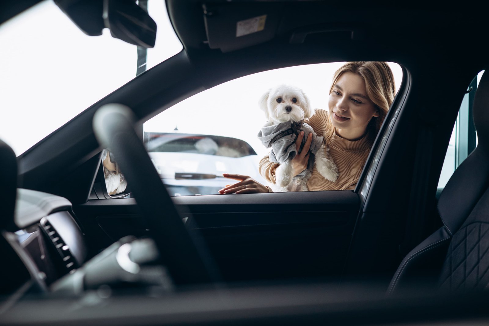 Pet-Friendly